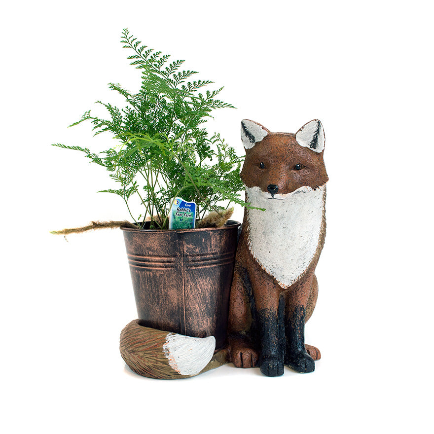Fox Animal Planter gift with display plant sold at Bear Valley in Lincoln City