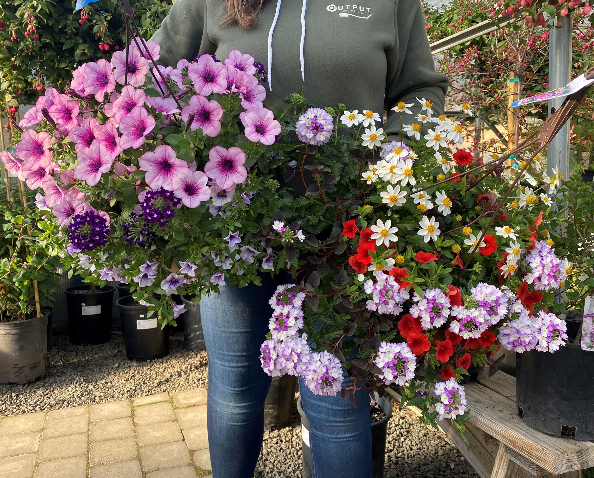 hanging plant for nursery Mixed Sun Hanging Baskets